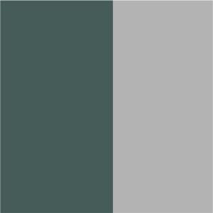 Sport Grey/Forest Green