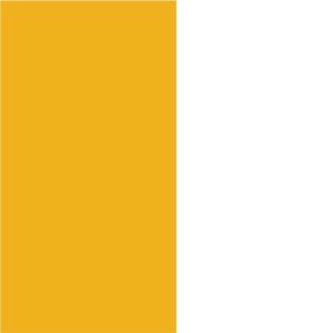 White/Gold