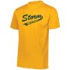 wicking_teez_gold Yellow short-sleeve crew neck t-shirt with dark green "Storm Westport" graphic text on the front