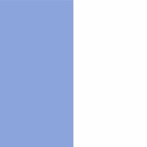 Carolina Blue/White