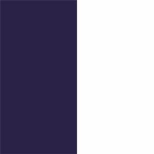 Navy/White