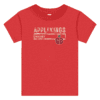bella_canvas_toddler-tshirt_red Red children's T-shirt with a distressed-style print reading 'APPLEKINGS HOCKEY GB' with an apple graphic next to the letters GB.